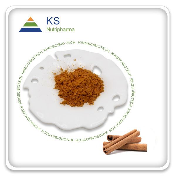 Ekstrakt kore cimeta u prahu