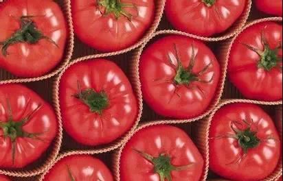 Mehanizam kontroliranog oslobađanja natrijevog kazeinata na likopenu
