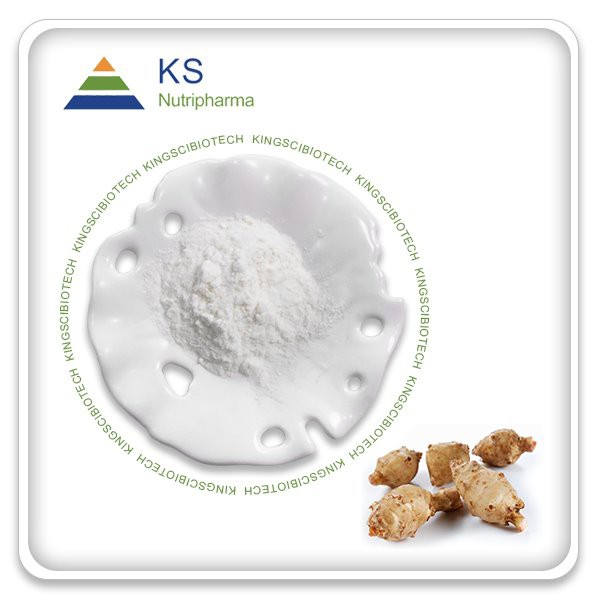 Prašak za ekstrakt cikorije