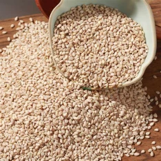 product-234-234 product-234-234