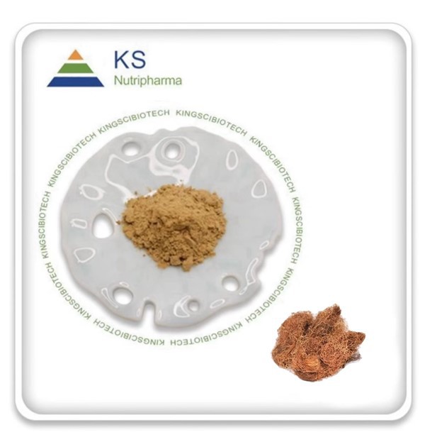 Ekstrakt kukuruzne svile